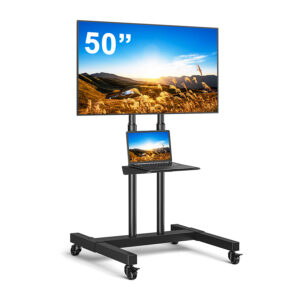 50" TV Screen with Portable stand