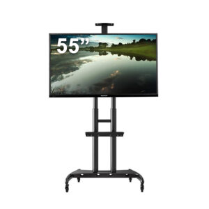 55" TV Screen with Portable stand