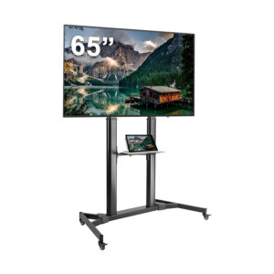 65" TV Screen with Portable stand