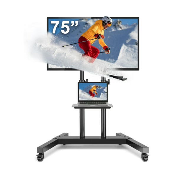 75" TV Screen with Portable stand