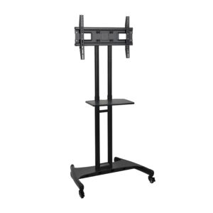 Portable TV Stand